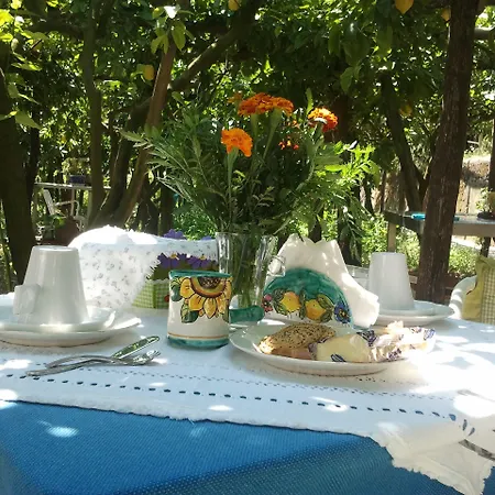 Bed & Breakfast La Zagara Minori