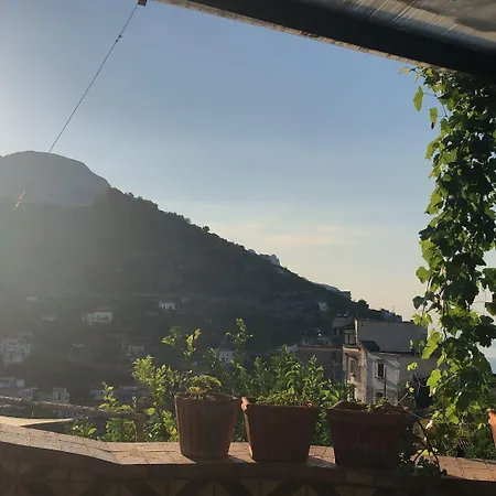 Bed & Breakfast La Zagara