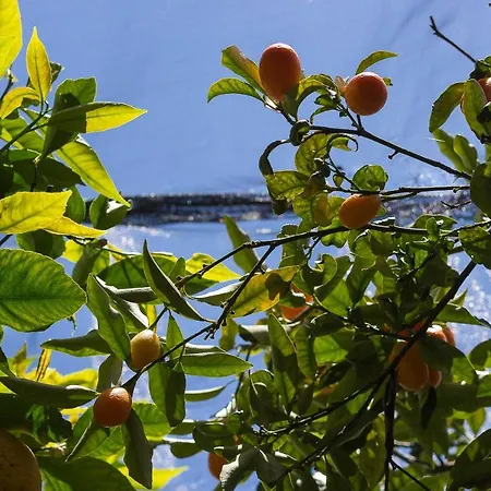 La Zagara مينوري