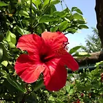 B&B La Zagara 4*