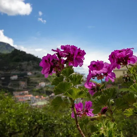 La Zagara 4* Minori